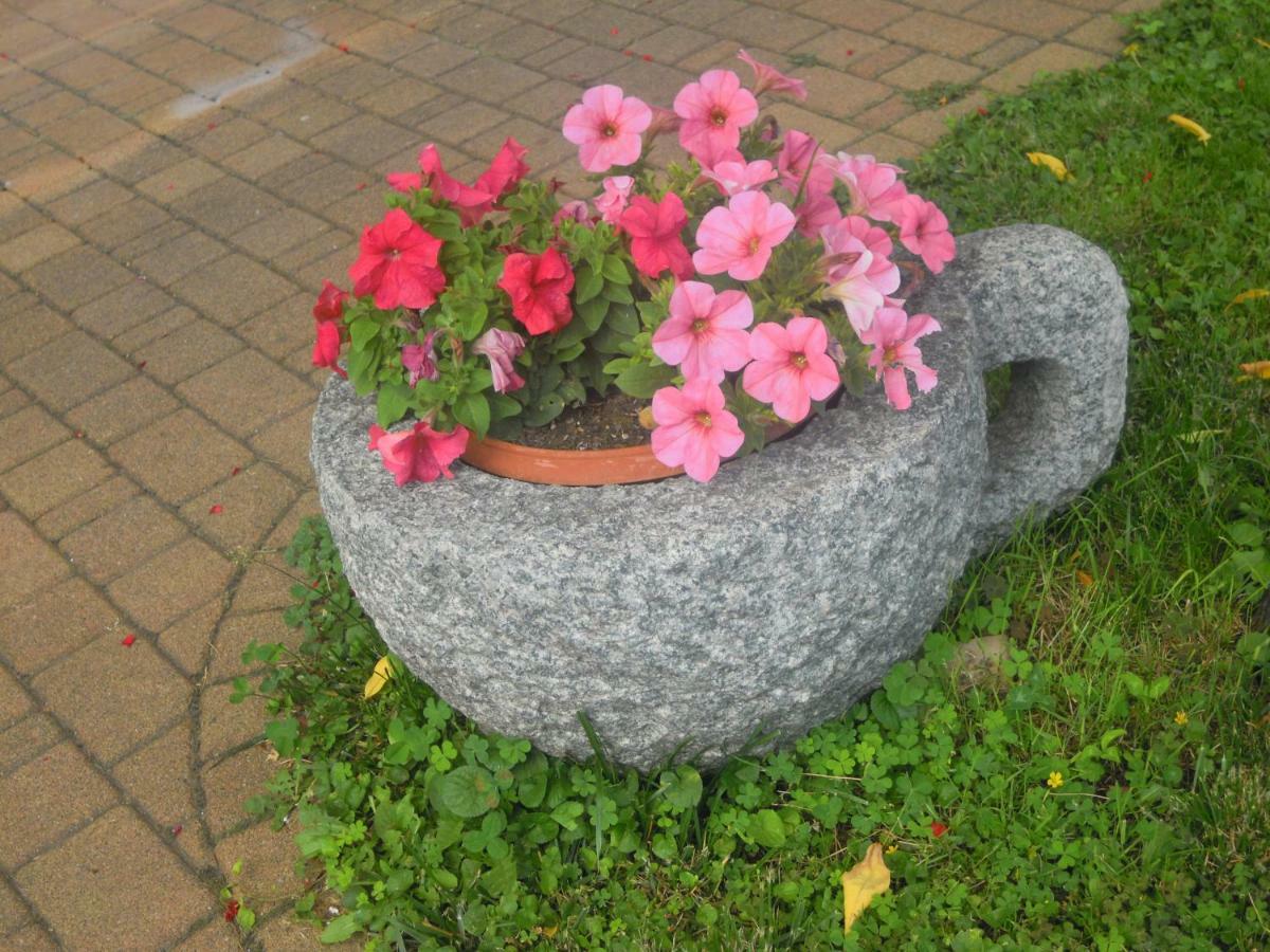 Il Nido Del Merlo Parcheggio E Giardino Verbania Extérieur photo